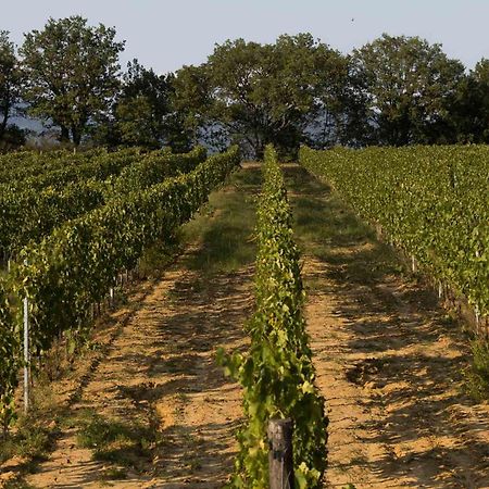 Agriturismo Le Baccane Vinci Luaran gambar